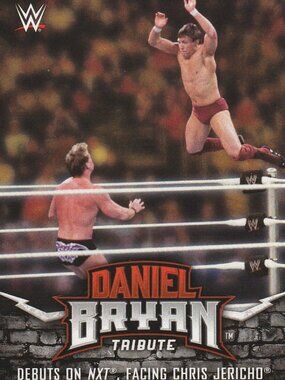 Daniel Bryan Tribute - 2017 Topps WWE Card